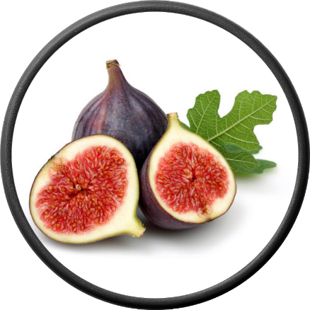 Fresh Fig
